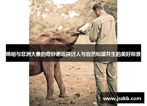 姚明与非洲大象的奇妙邂逅探讨人与自然和谐共生的美好愿景